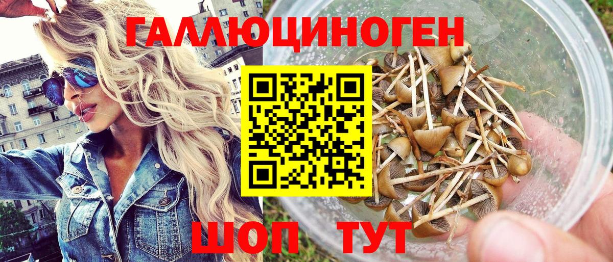 Галлюциногенные грибы Magic Shrooms Лениногорск